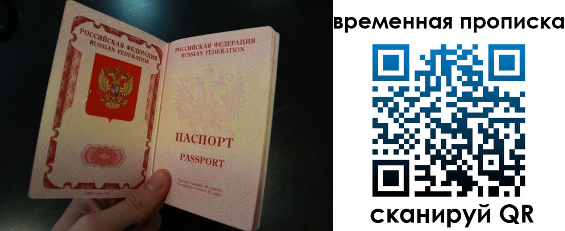 временная регистрация гарантия в Александровске