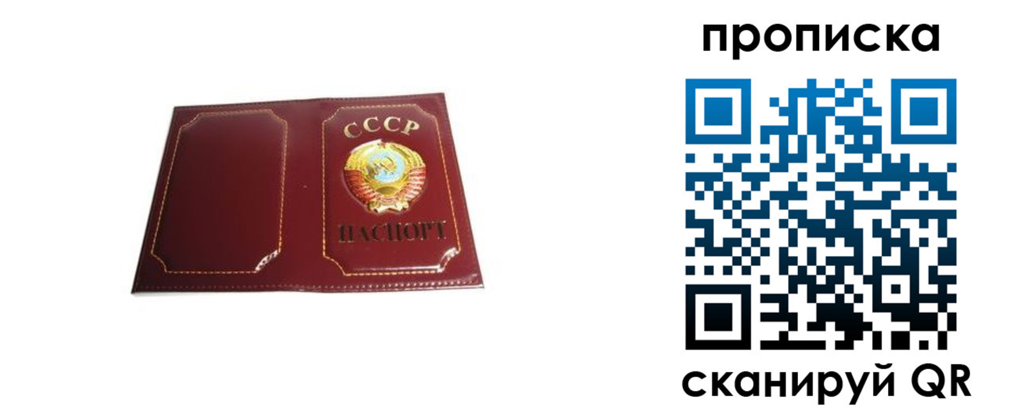 прописка гарантия в Александровске